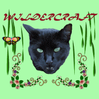 animated cat
