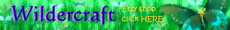 my etsy store link